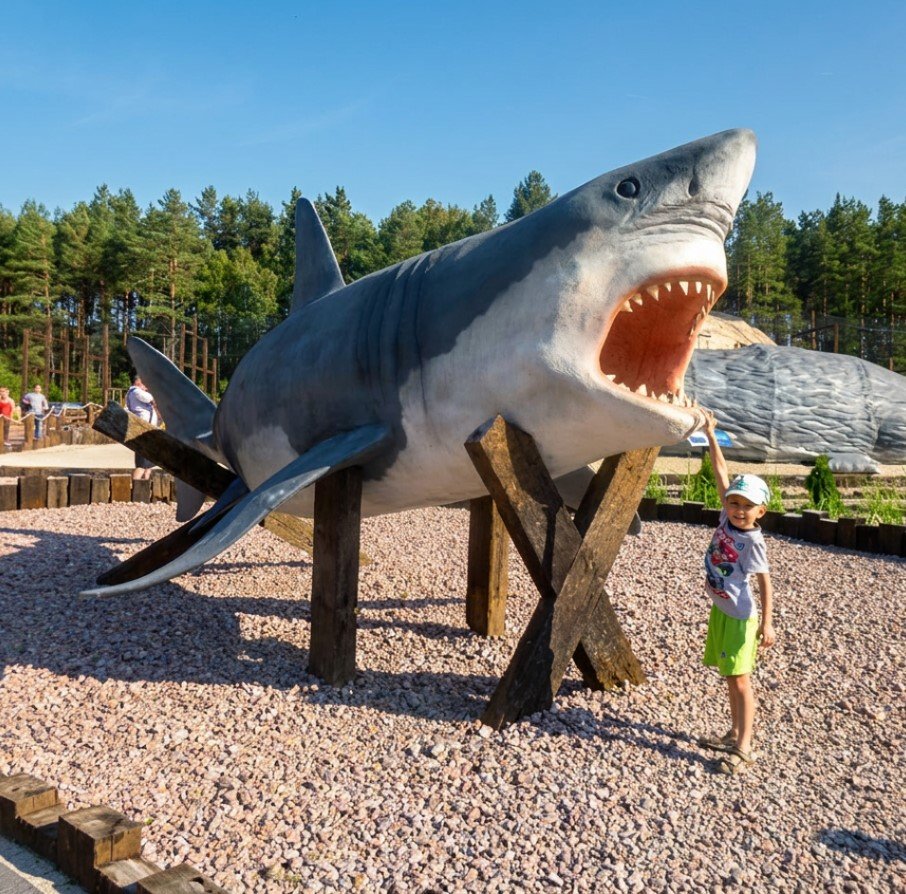 Naturalnej wielkości figura Rekin Żarłacz Biały do oceanarium 700cm