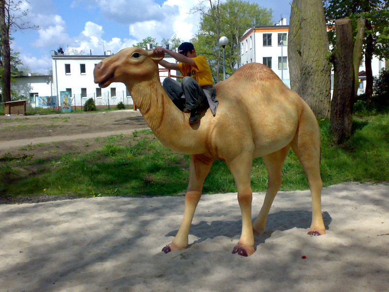 Figura wielbłąda, reklama przestrzenna 3d, parki rozrywki, life size camel,